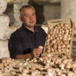 champignonniere-marianne_img_0824_0