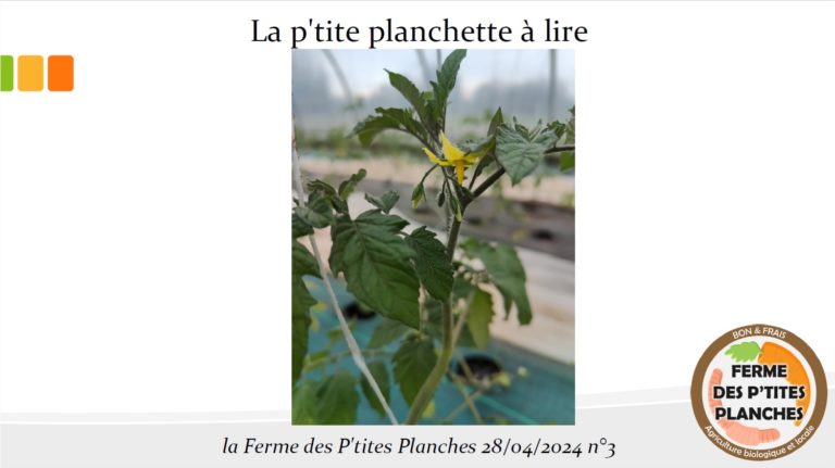 La P'tite Planche - Avril 2024