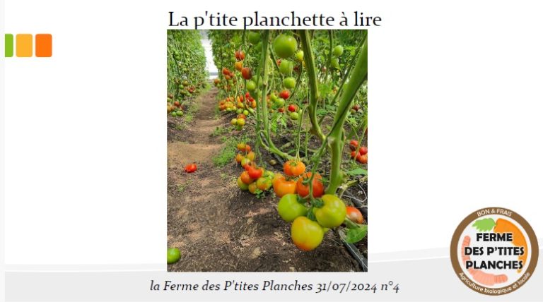 La P'tite Planche - Juillet 2024