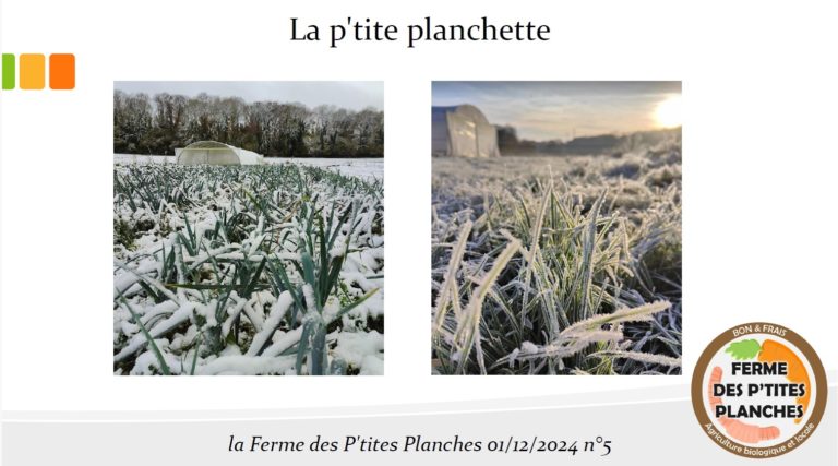 La P'tite Planche - décembre 2024