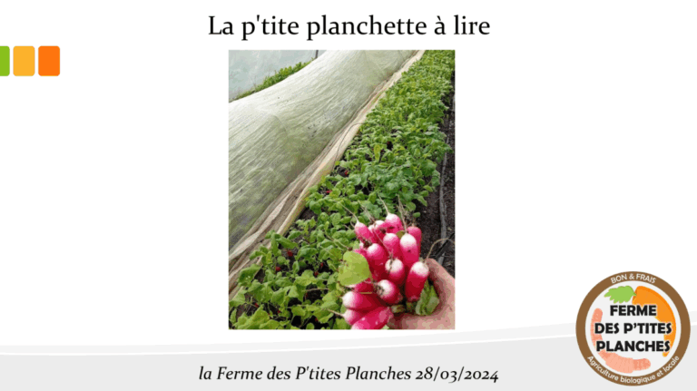 La P'tite Planche - Mars 2024