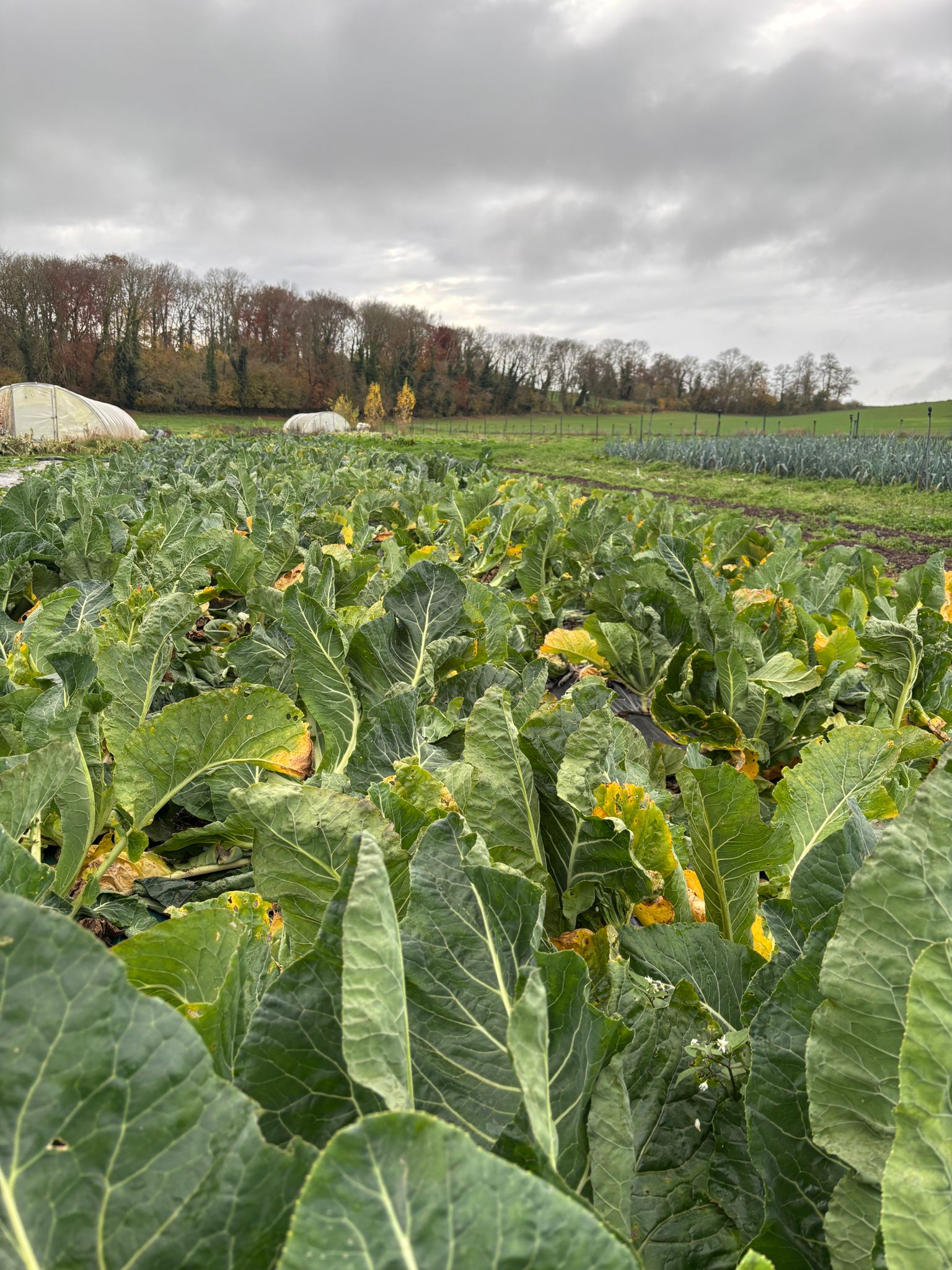 WhatsApp Image 2025-11-28 at 19.30.22 (1)