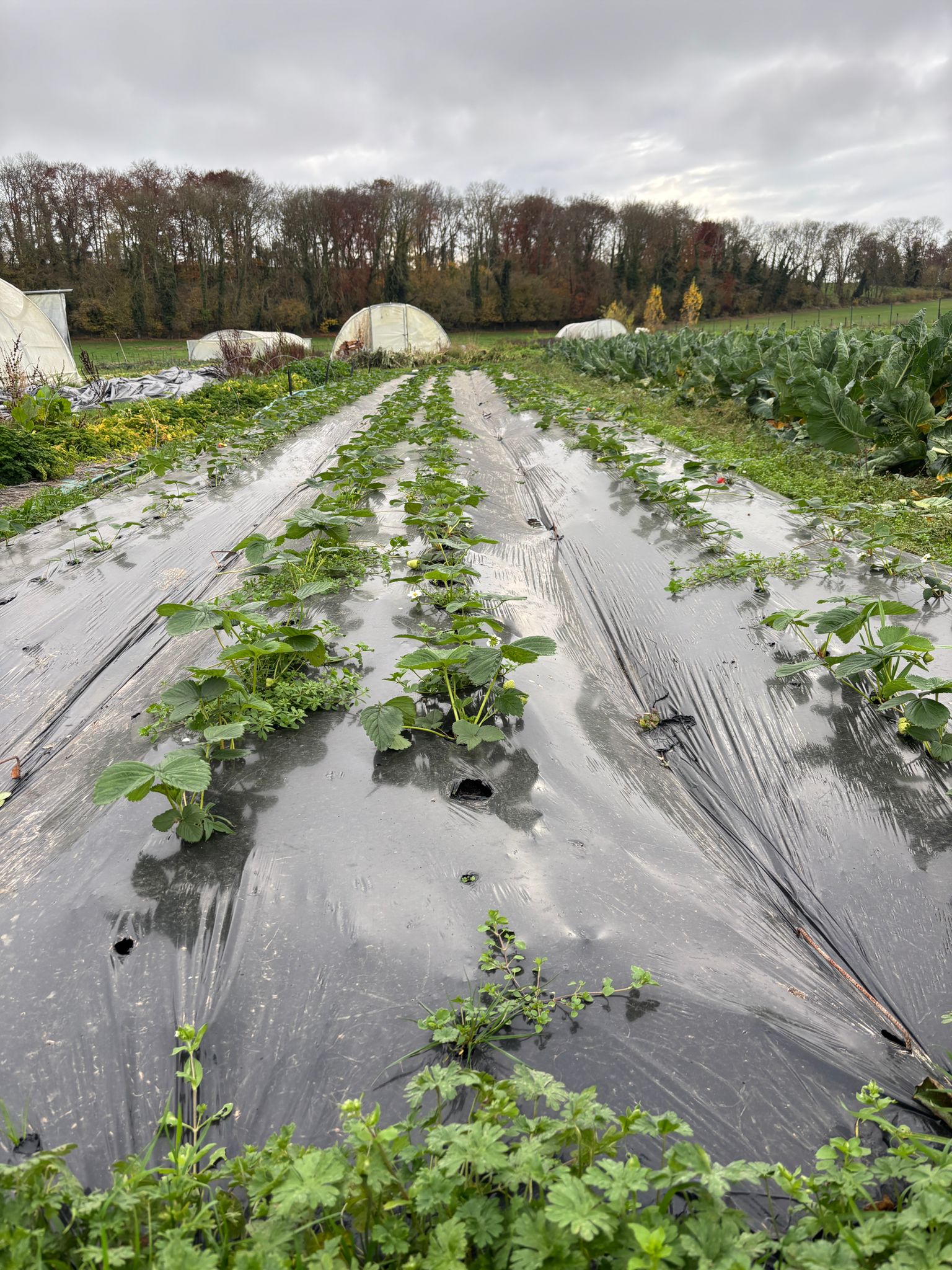 WhatsApp Image 2025-11-28 at 19.30.22 (2)