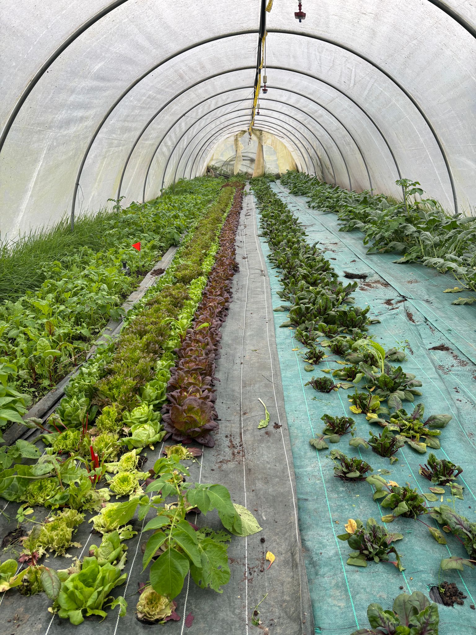 WhatsApp Image 2025-11-28 at 19.30.22 (3)