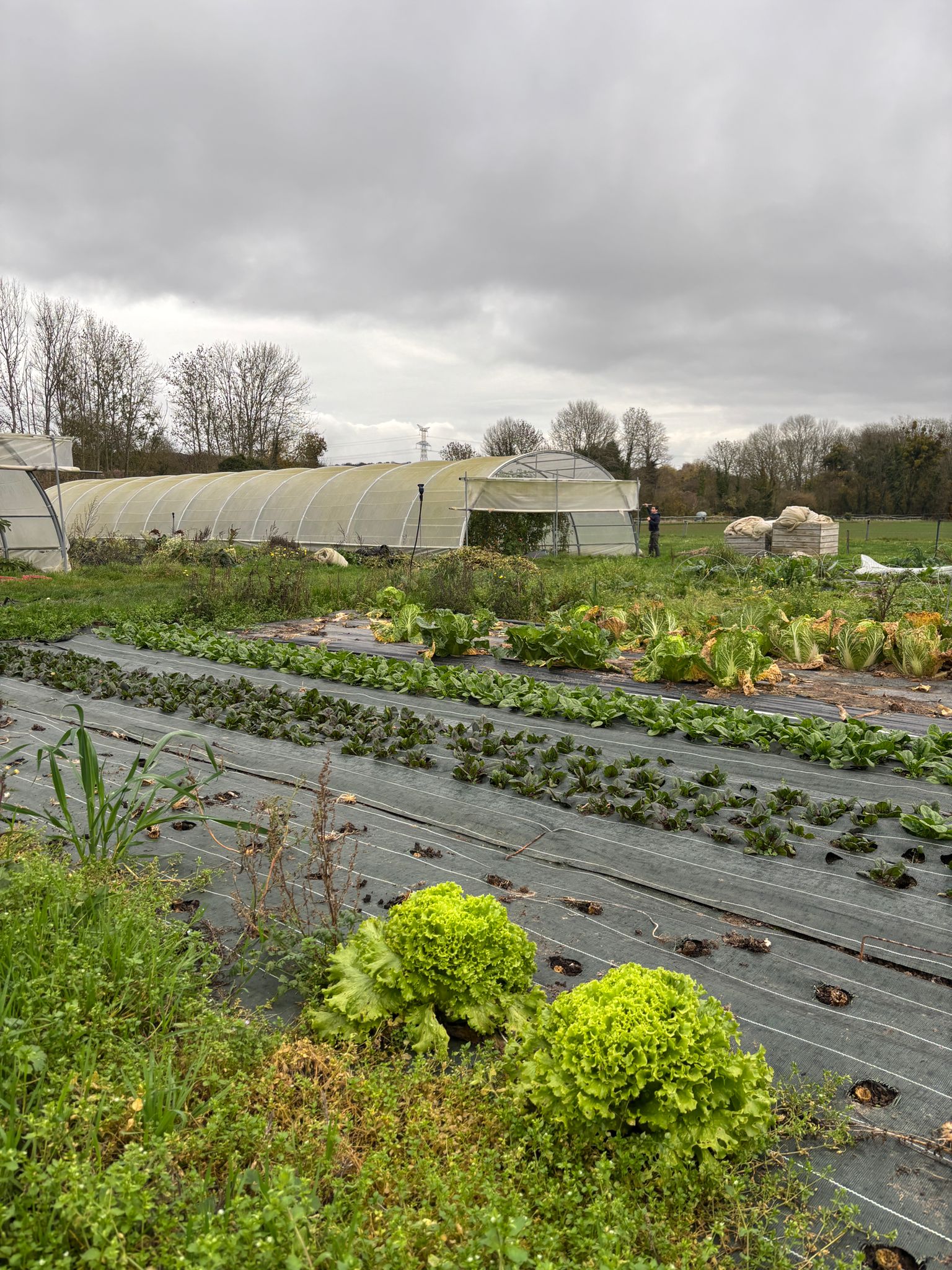 WhatsApp Image 2025-11-28 at 19.30.22 (4)