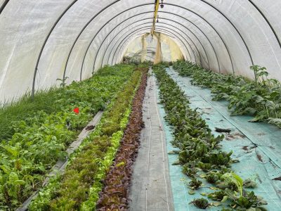 WhatsApp Image 2025-11-28 at 19.30.22 (3)